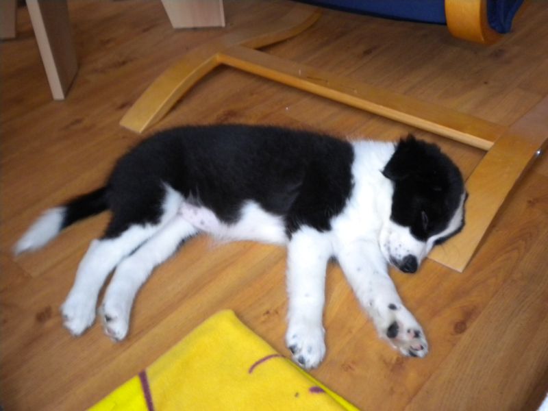 Snímek 032.jpg