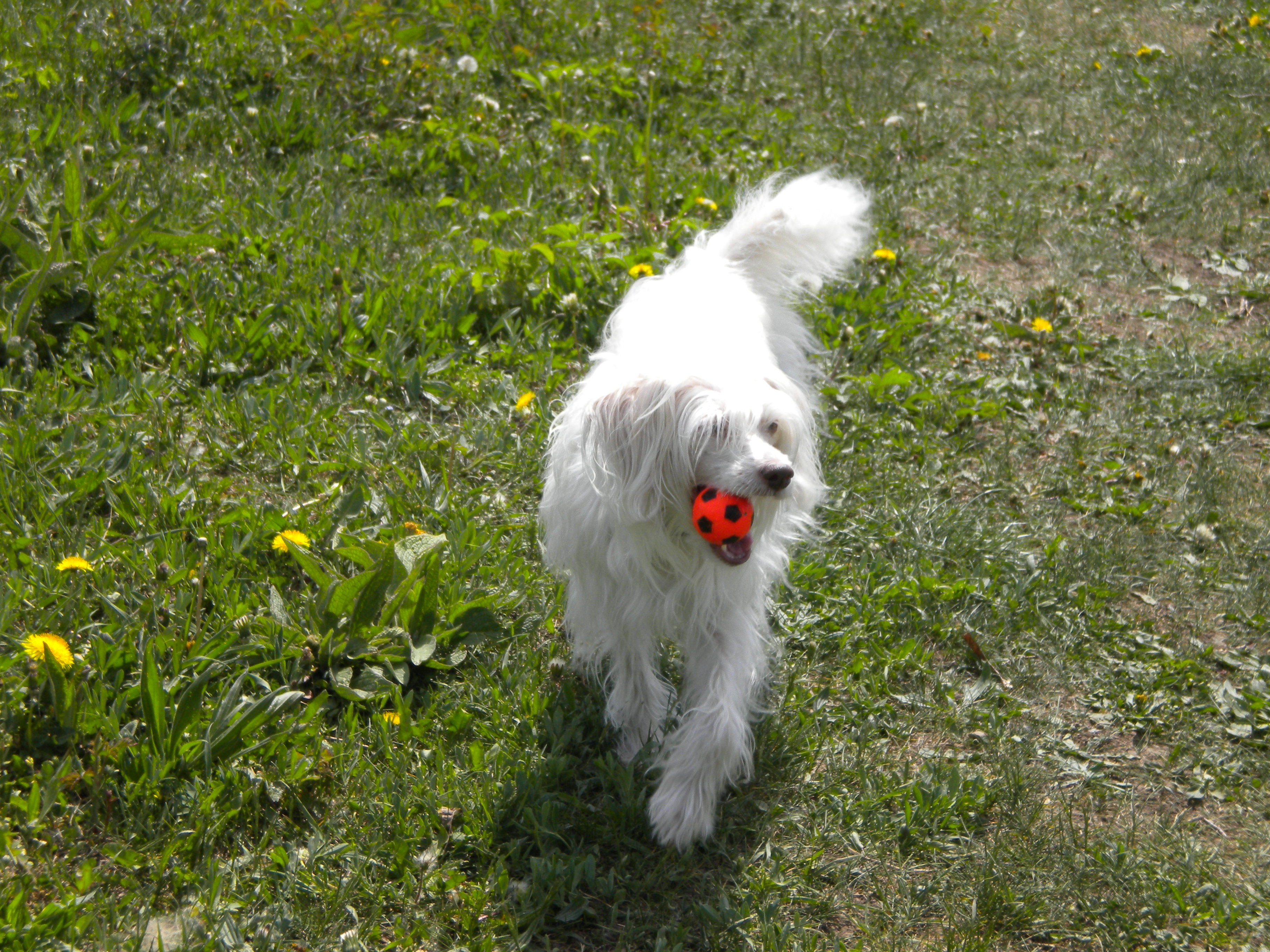 DSCN0476.JPG