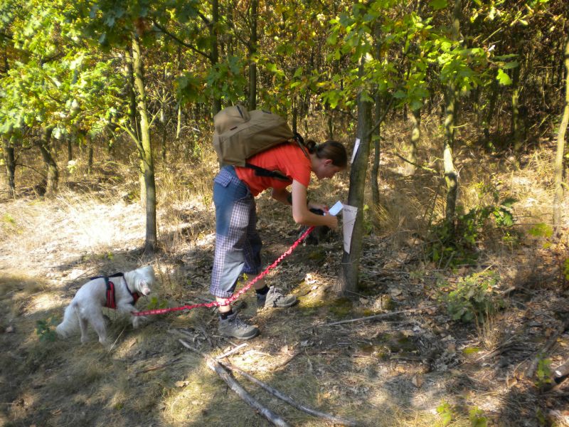 DSCN1598.JPG