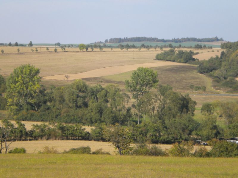 DSCN1620.JPG