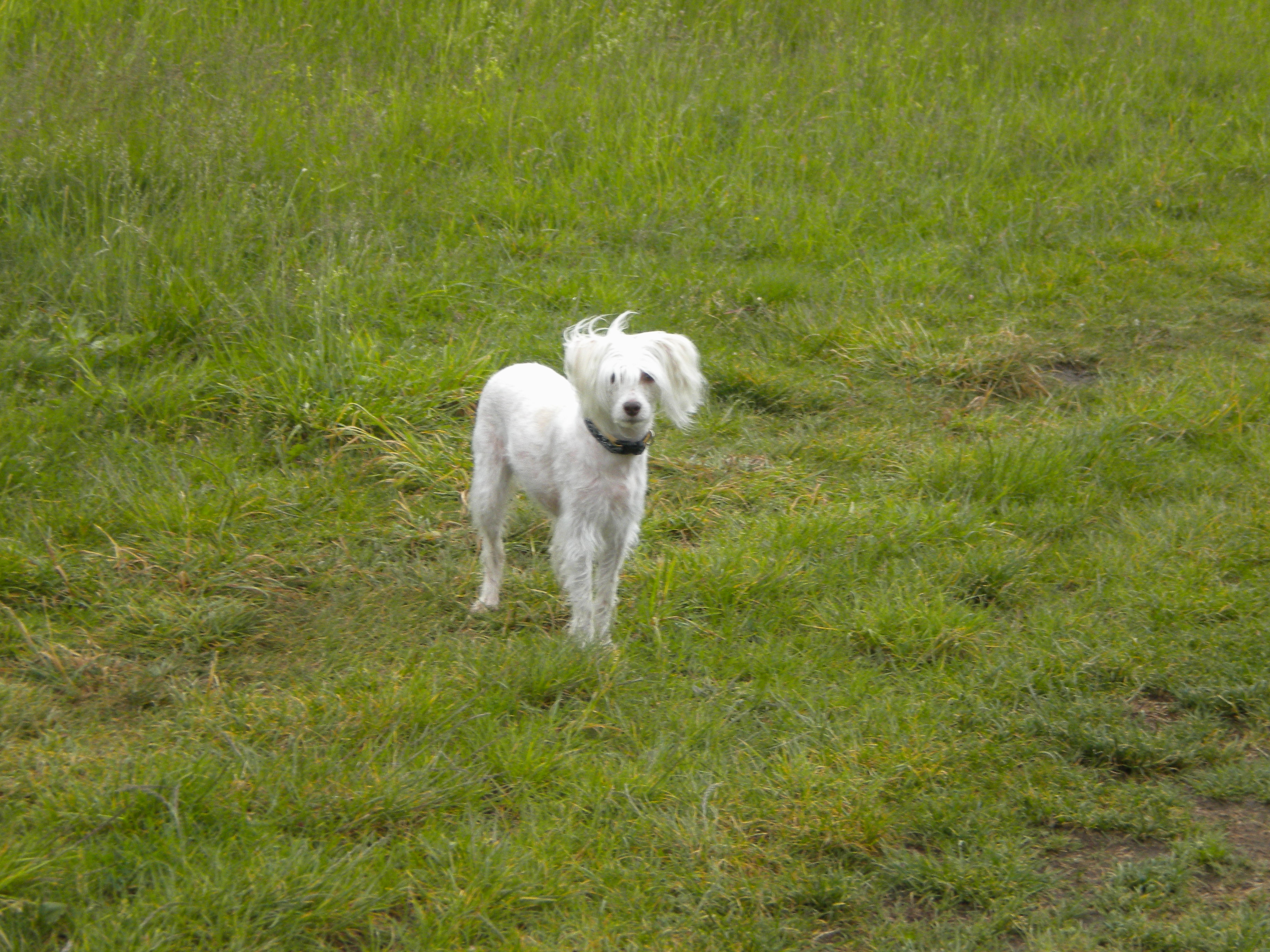 DSCN0753.JPG