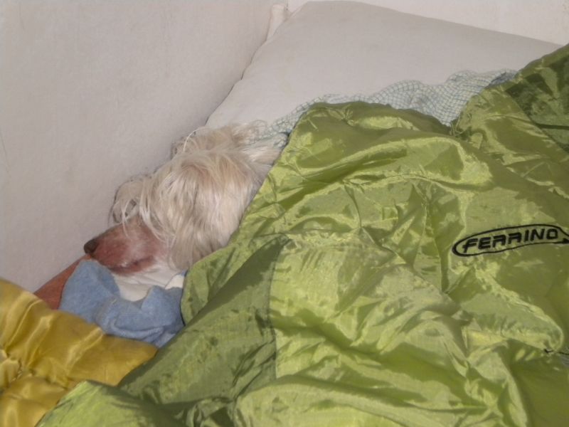 DSCN1630.JPG