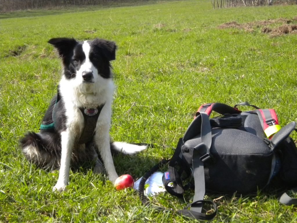 DSCN3464.JPG
